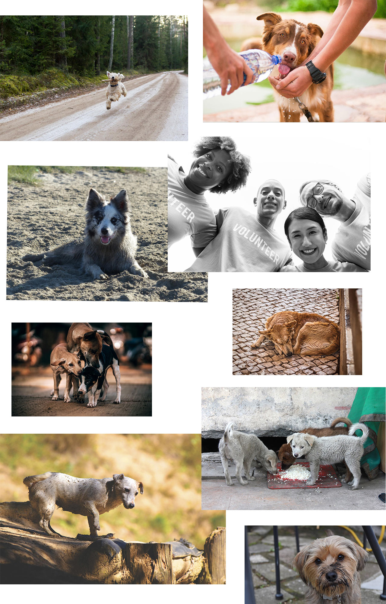 NGO.Happy layout image assets