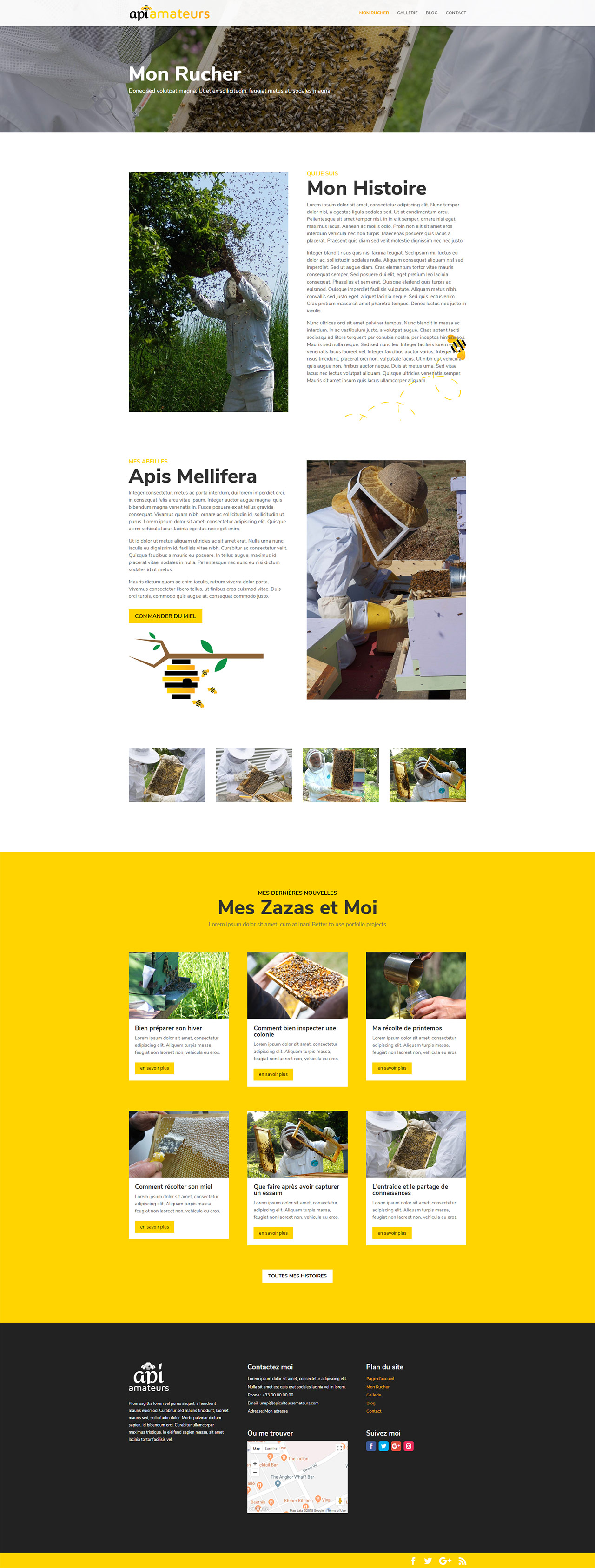 Api Amateurs Divi Layout My Hive Page