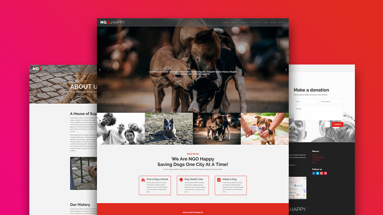 NGO Happy Divi Layout Pack feature